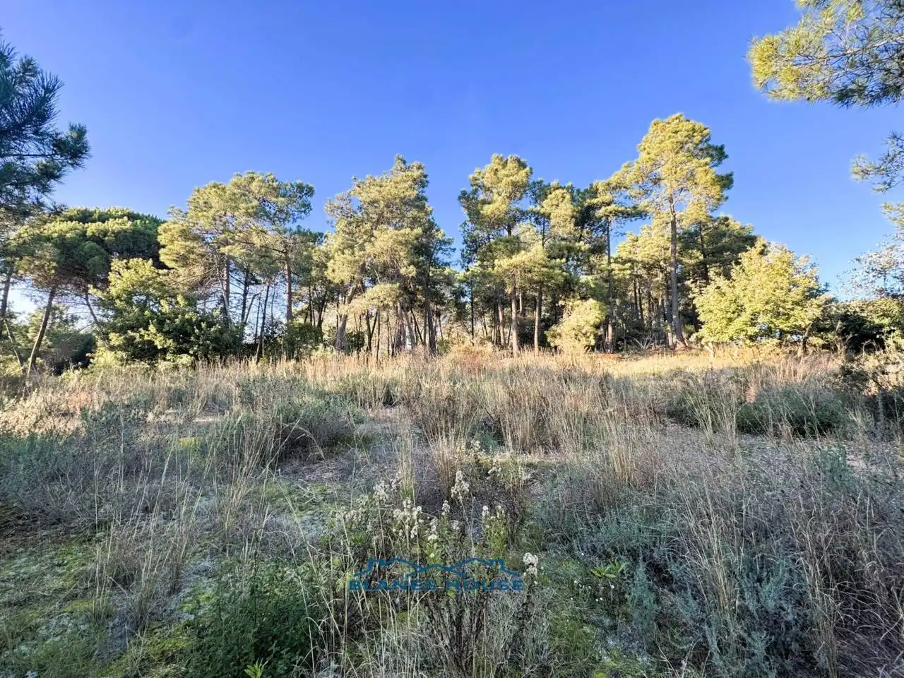 Finca rústica en venda en Tordera amb Jardí privat