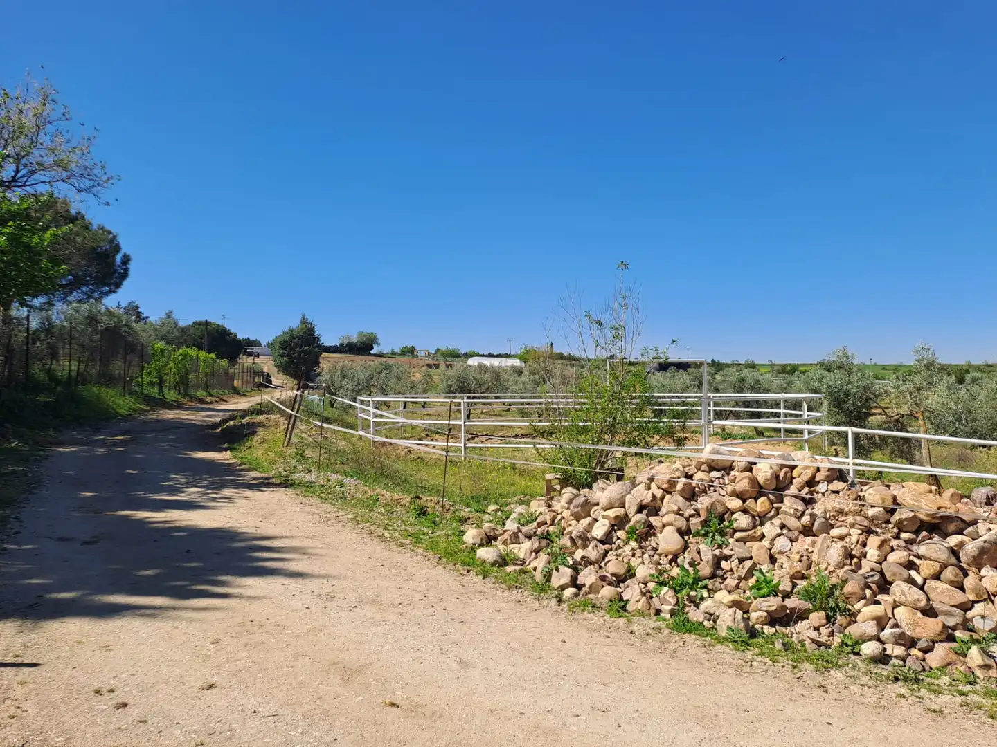 Terreny residencial en venda a Griñón, imagen 37