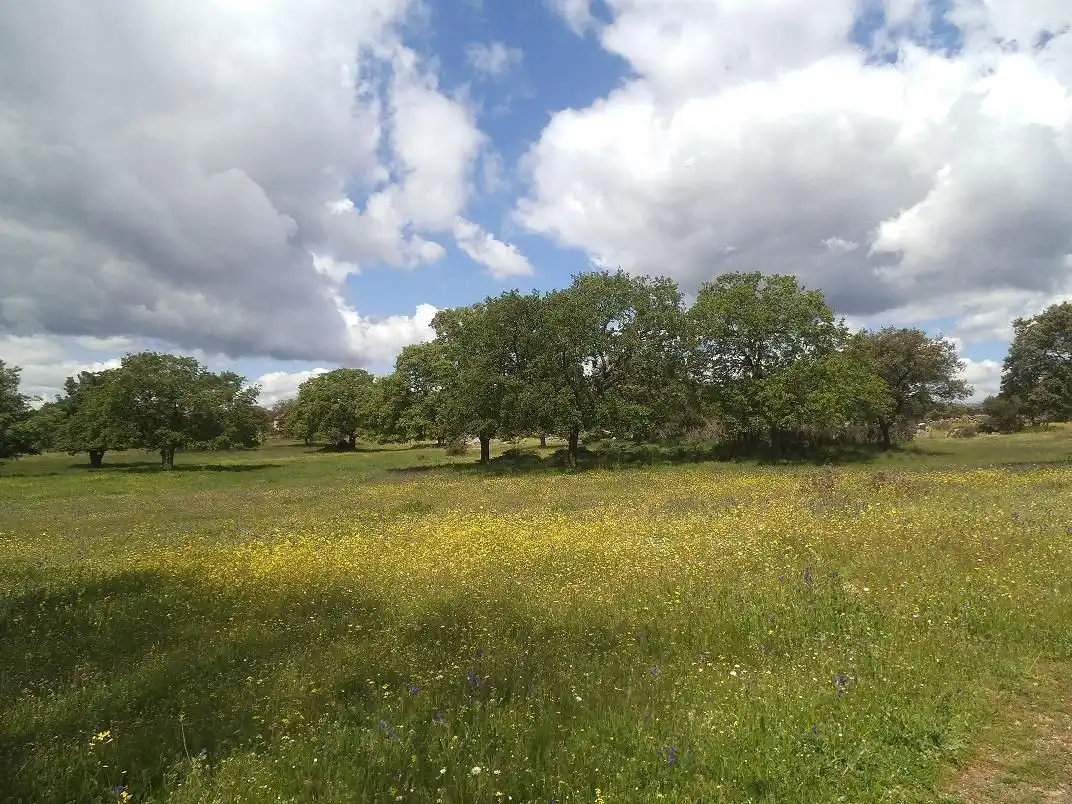 Residencial en venda en Valdemorillo