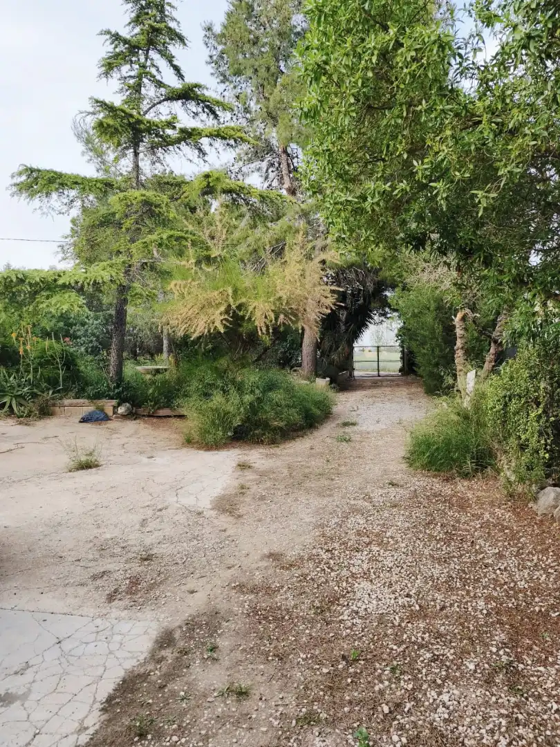 Detached house with pool for sale in Montserrat, imagen 9