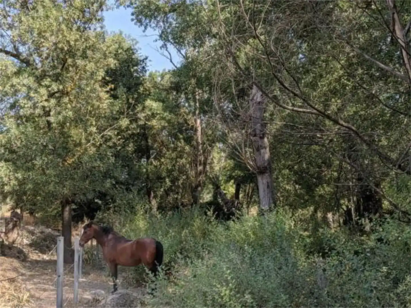 Casa o chalet en venta en Baena con Piscina