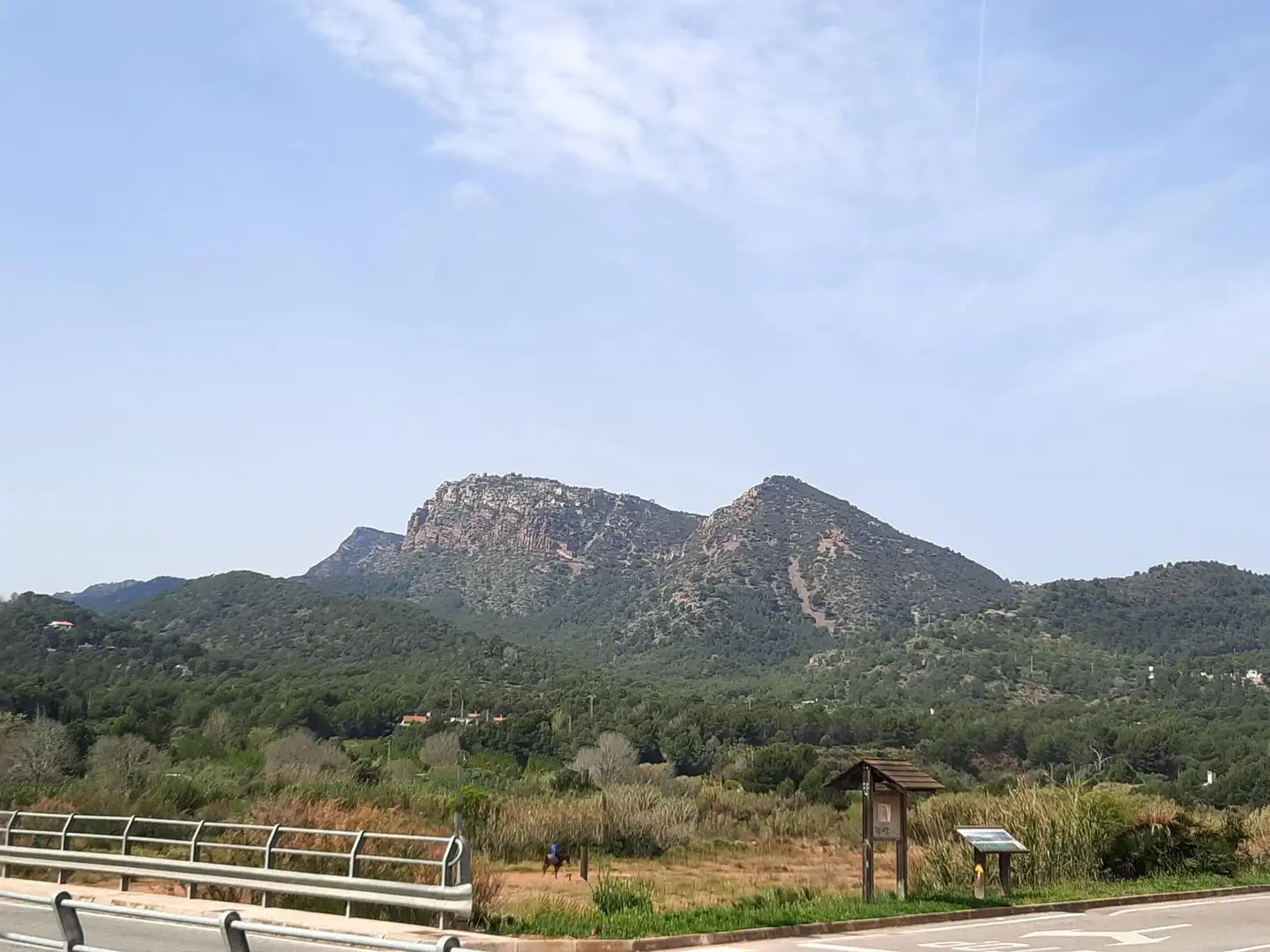 Finca rústica en venta en Albalat dels Tarongers con Calefacción, Terraza y Piscina