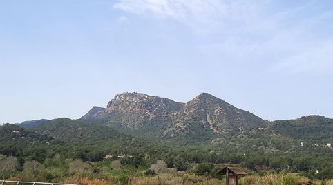 Foto 2 de Finca rústica en venta en Albalat dels Tarongers, Valencia