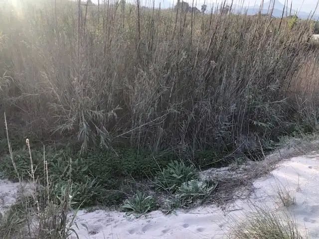 Casa o chalet en venta en Grau de Gandia - Venecia - Marenys de Rafalcaid