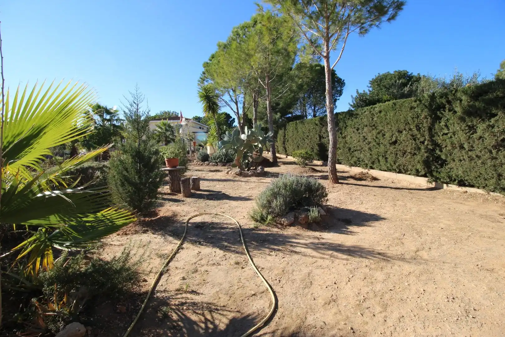 Jardí de Casa o xalet en venda en Chiva amb Jardí privat, Terrassa i Traster