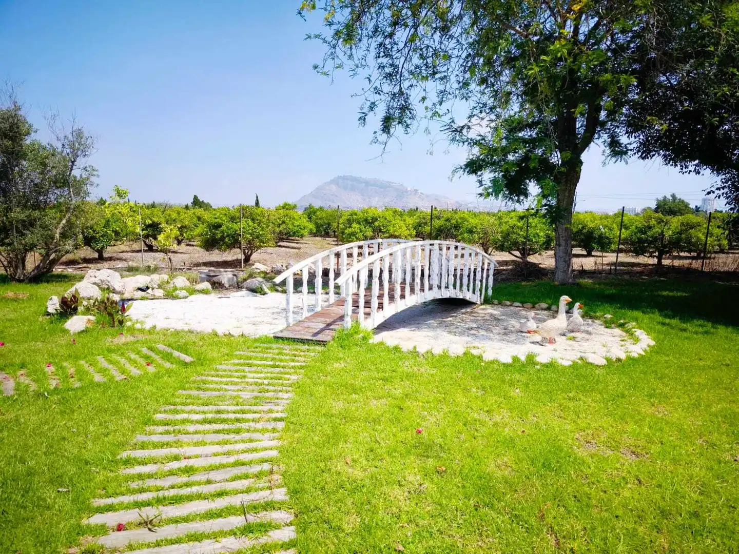 Chalet con terraza en venta en El Marenyet, imagen 10
