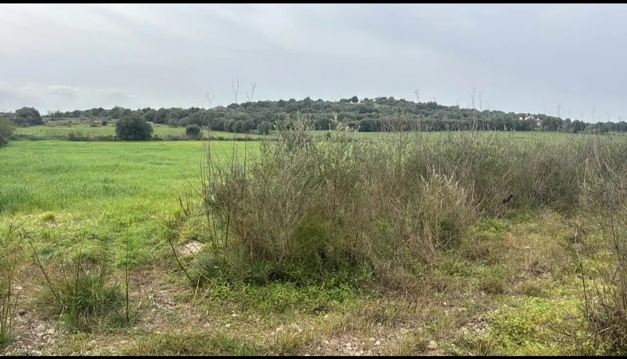 Terreno en venta en Vilafranca de Bonany