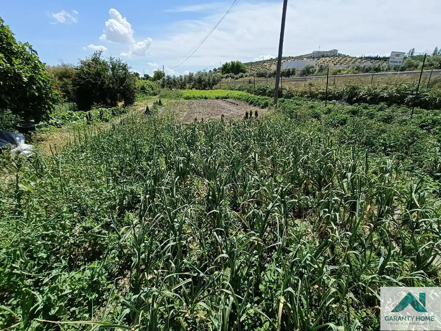 Houses for rent in Castro del Río