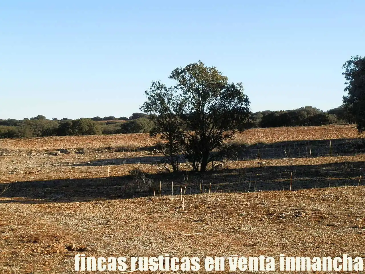 Terreni e lotti in vendita a Quintanar de la Orden, imagen 15