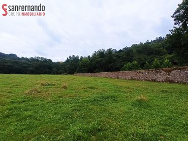 Terreno rústico en venta en Reocín