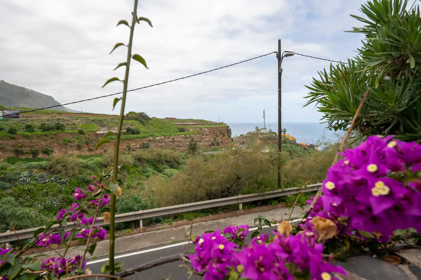 Vista exterior de Finca rústica en venda en Los Realejos amb Parquet, Terrassa i Balcó