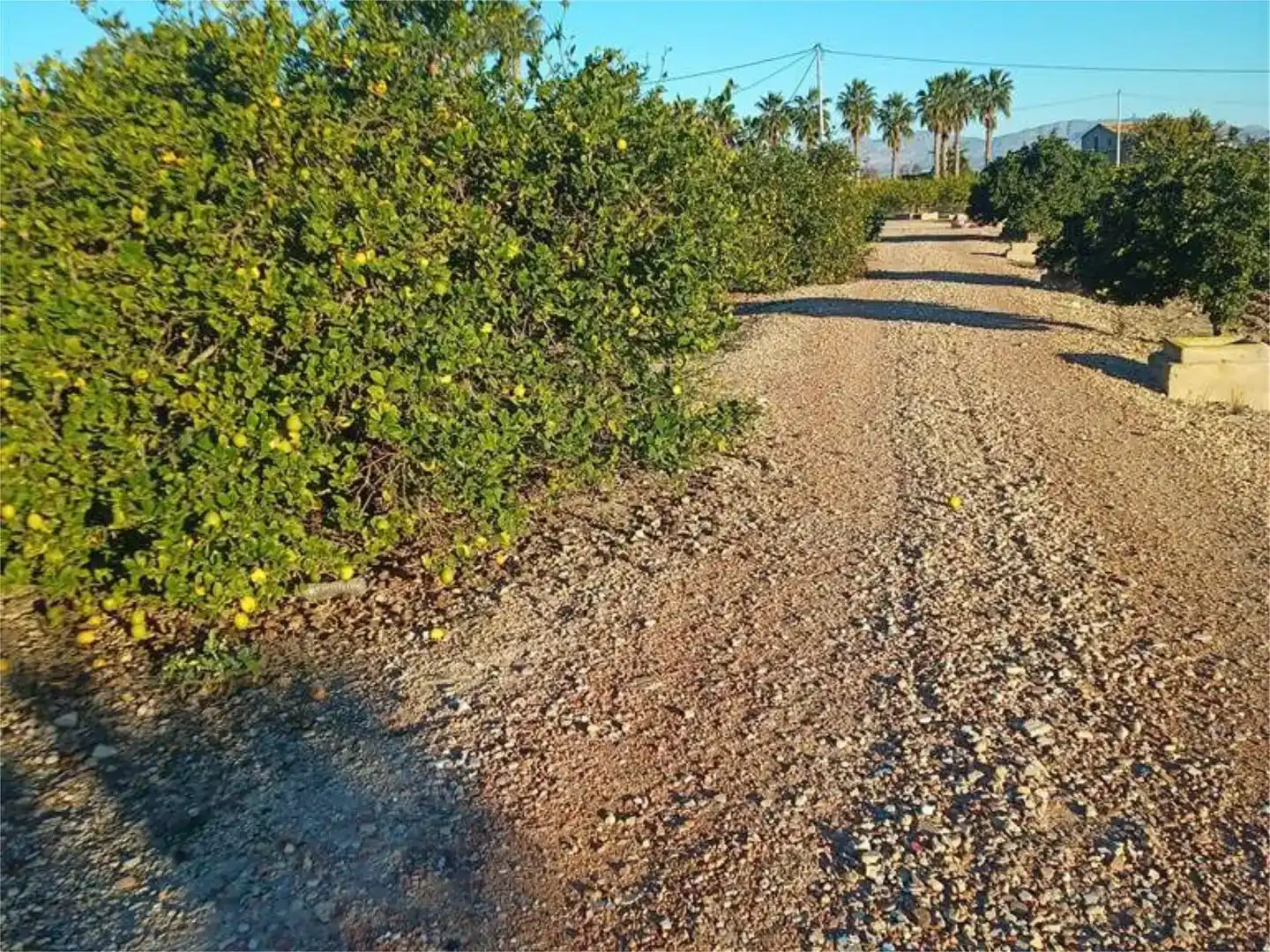 Vista exterior de Terreno en venta en Orihuela