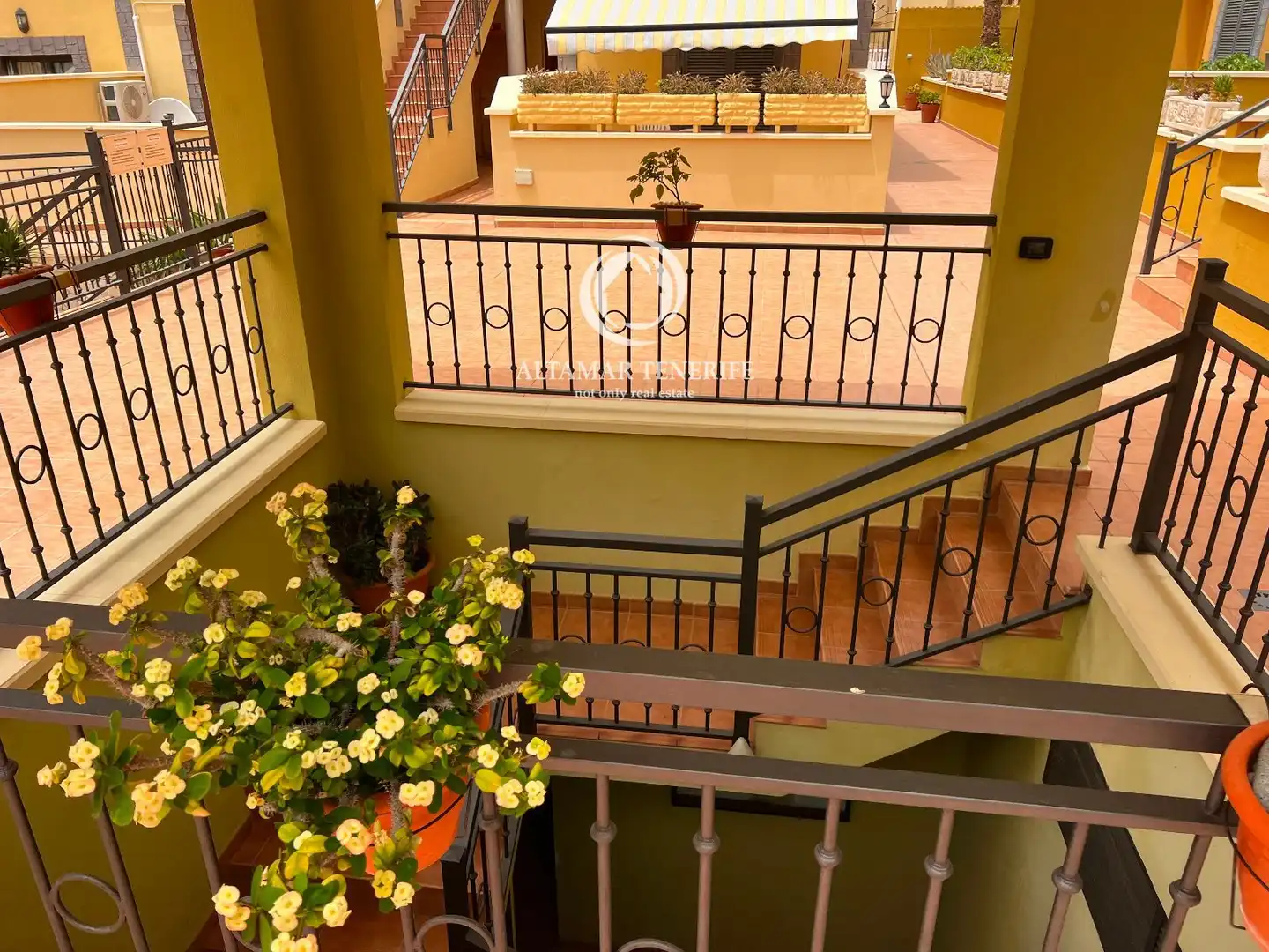 Apartamento de alquiler en Roques del Salmor, 12, Playa del Duque