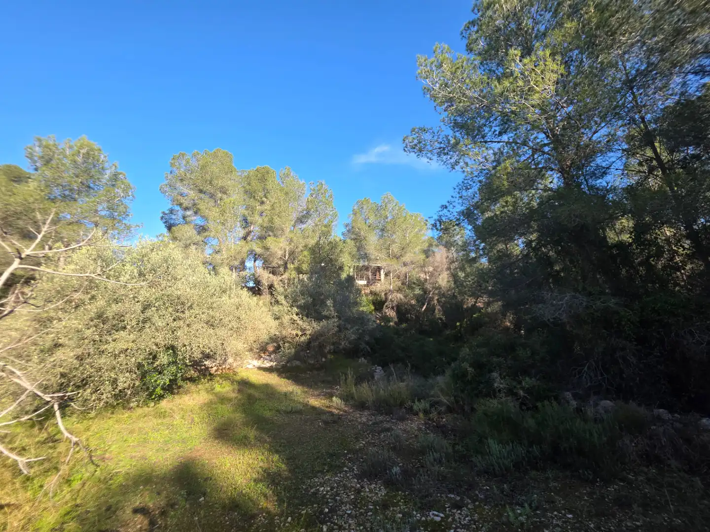 Terreno rústico en venta en Benifallet, imagen 14