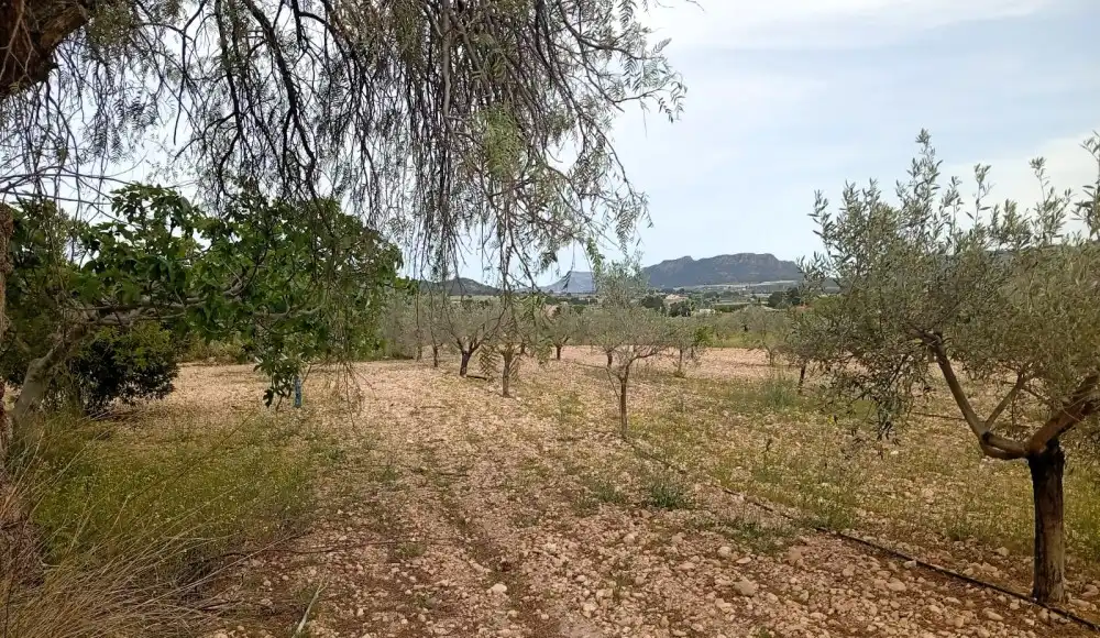 Flat for sale in Salinas