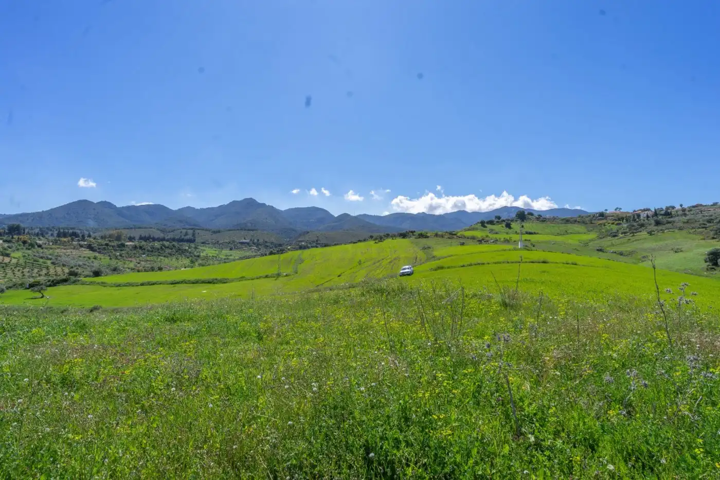 Rural land for sale in Lugar Arroyo Hondo