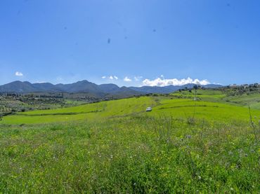 Terreny rústic en venda a Lugar Arroyo Hondo