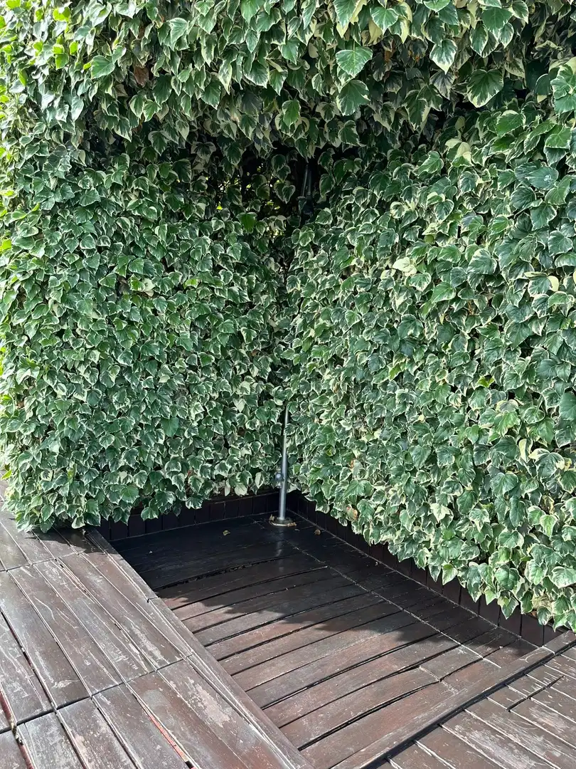 Casa con piscina en venta en Cocentaina, imagen 15