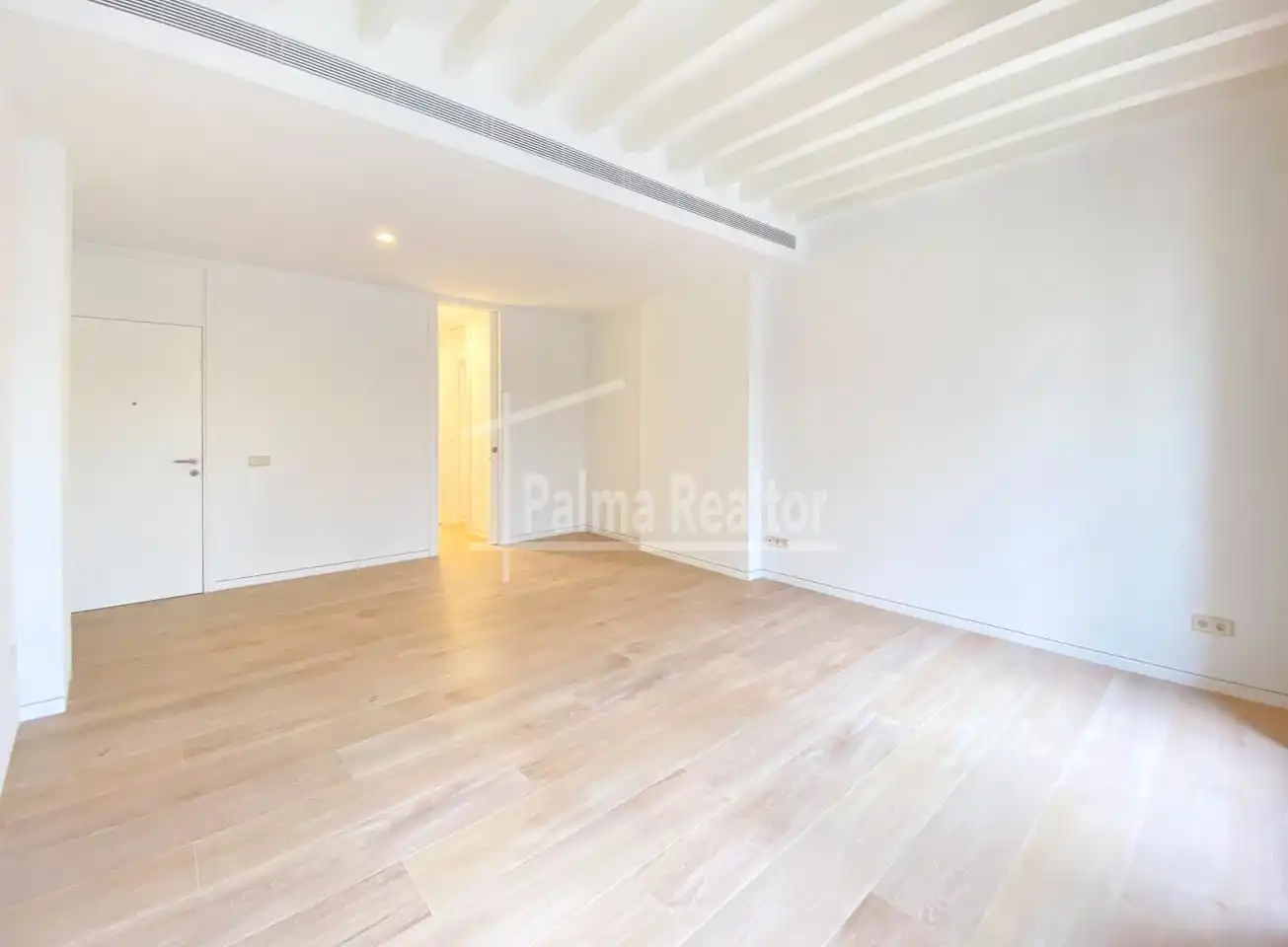 Vista exterior de Loft en venda en  Palma de Mallorca amb Aire condicionat, Parquet i Balcó