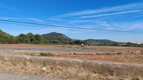 Terreno en la zona de Beniparrell de 34000m2, immagine 2