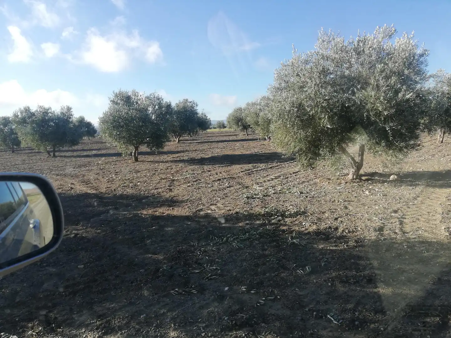 Rural land for sale in Almonacid de Toledo, imagen 3