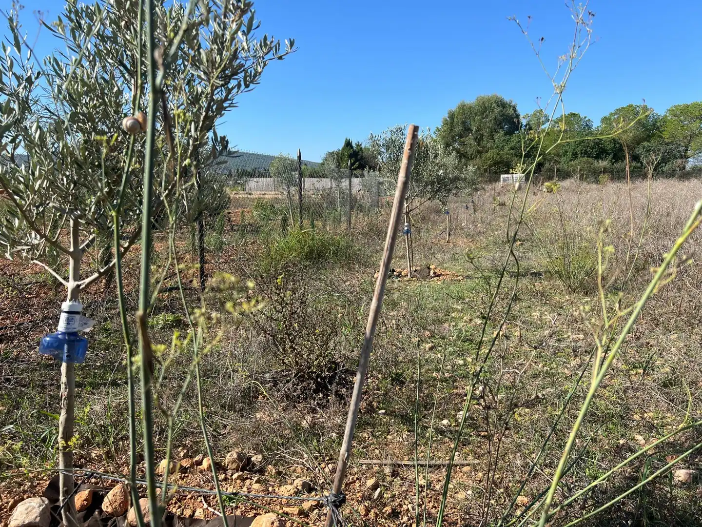 Terreno en venta en Santa Eugènia
