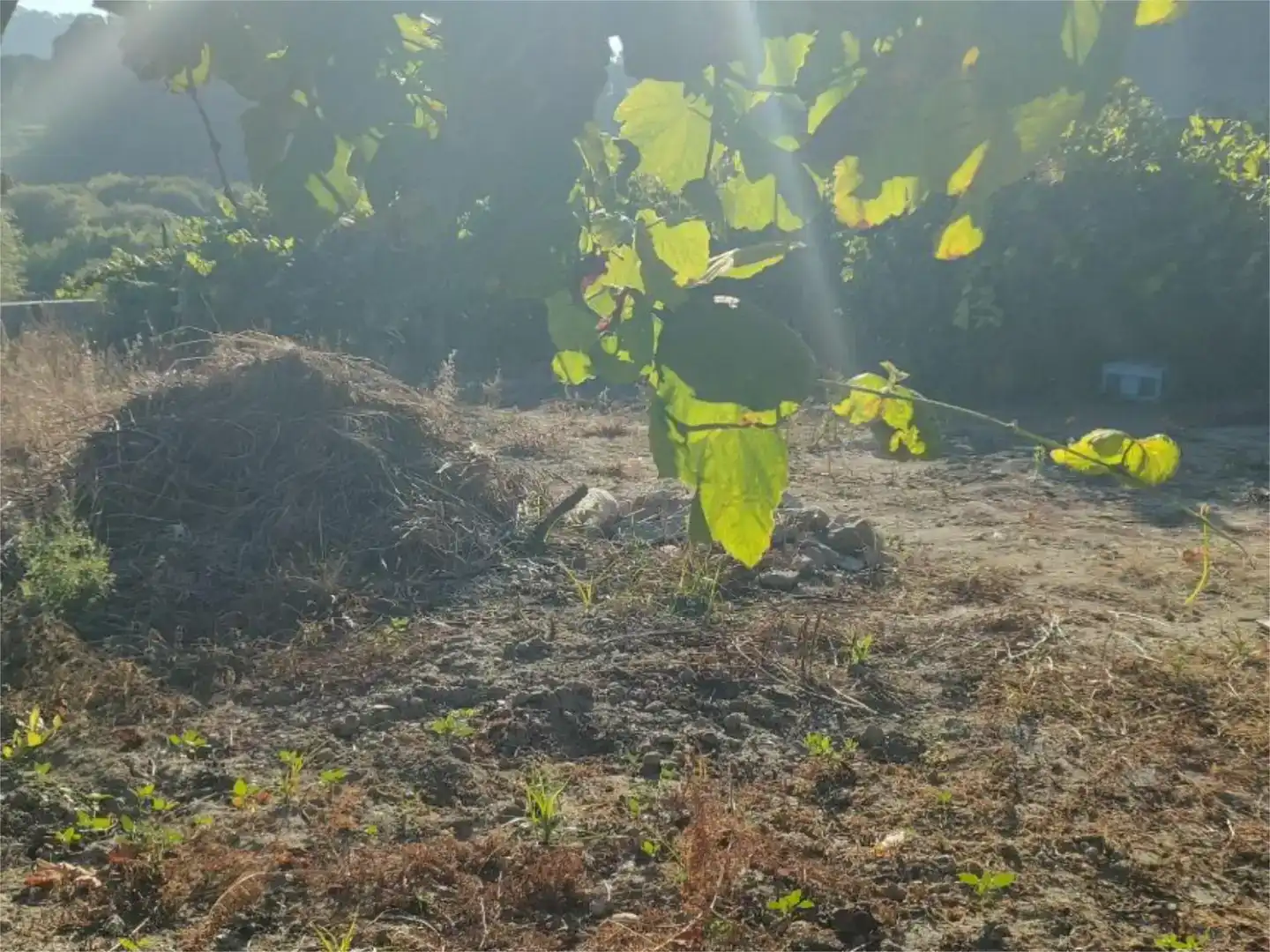 Pis en venda en Marín amb Jardí privat
