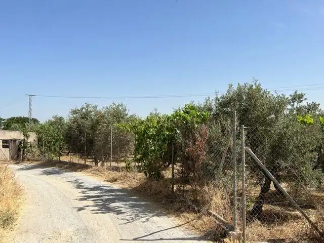 Terreno rustico in vendita a JUEVES POR LA MAQANA POLIGONO 3, imagen 14