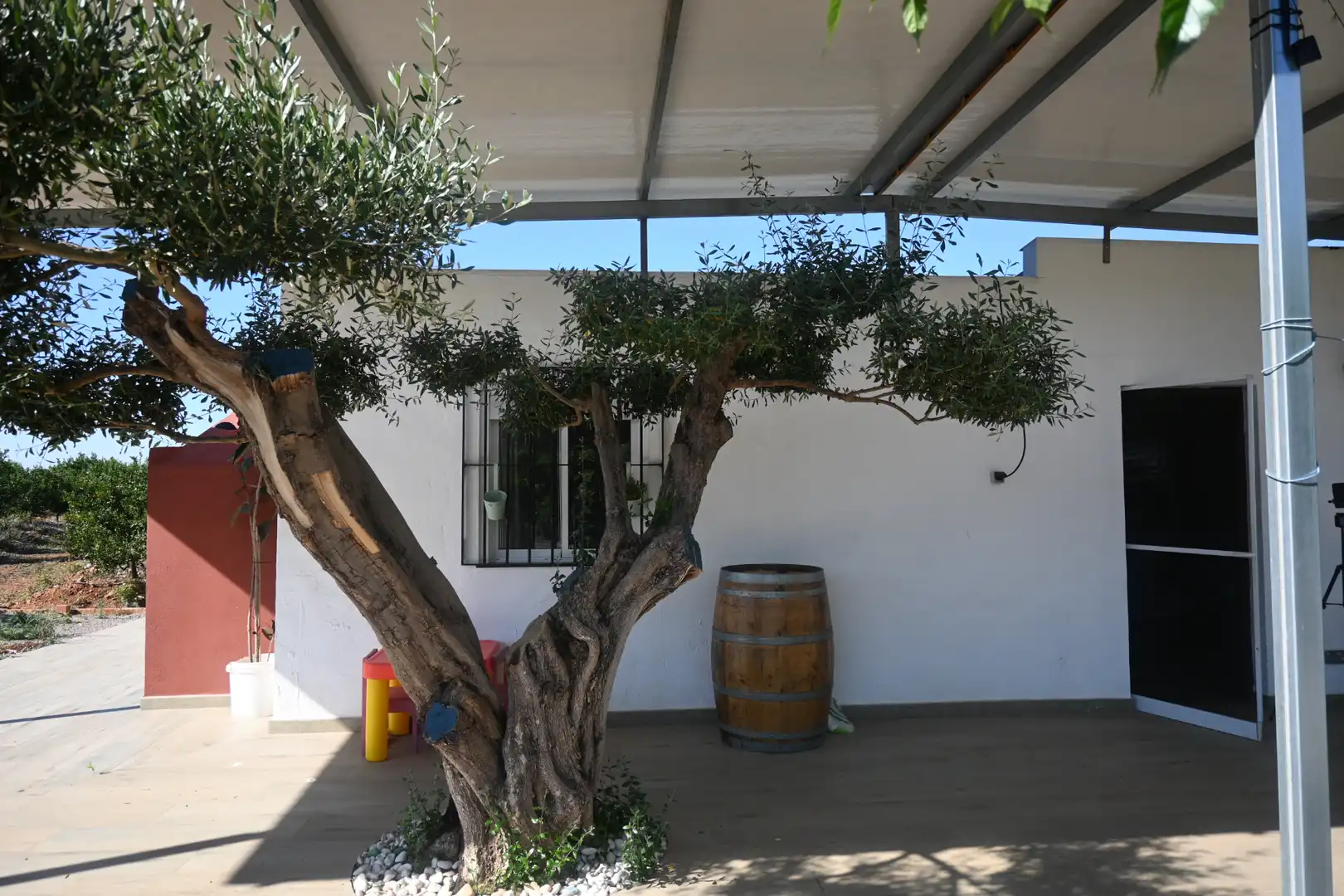Terrassa de Casa o xalet en venda en Betxí amb Jardí privat, Terrassa i Piscina