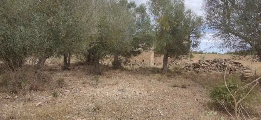 Casa rústica en venda a Manacor Centre, imagen 9