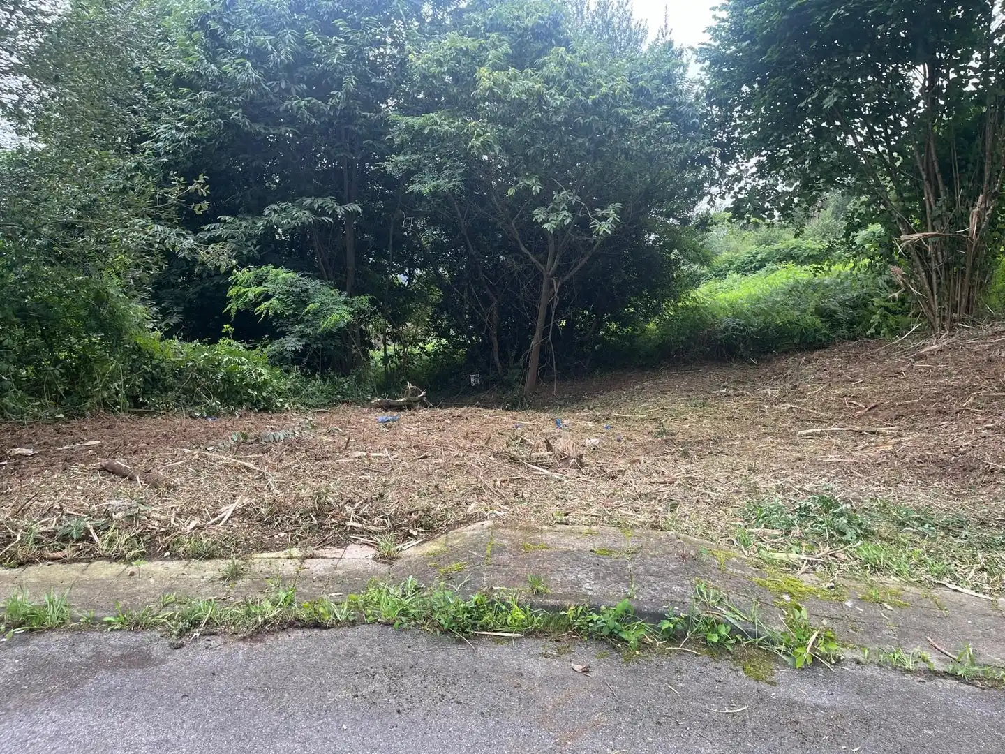Terrenos y solares en venta en Caxidi, imagen 3