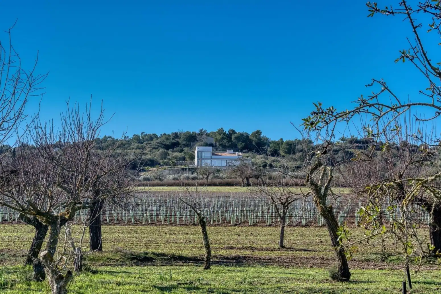 Casa o chalet en venta en Montuïri - Carrer del Sol, Montuïri