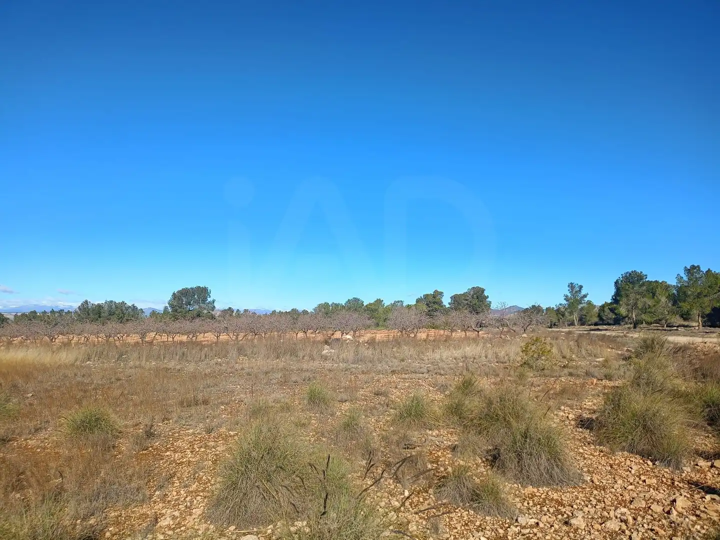 Grundstücke zum Verkauf in Lorca