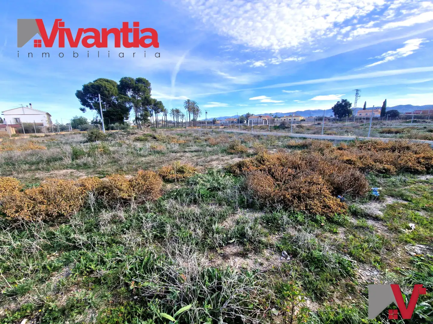 Terreni e lotti in vendita a Pedanías Sur, imagen 4