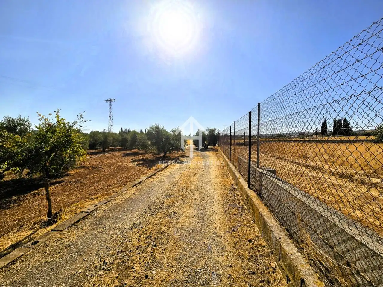 Terreni e lotti in vendita a Moraleda de Zafayona, imagen 54