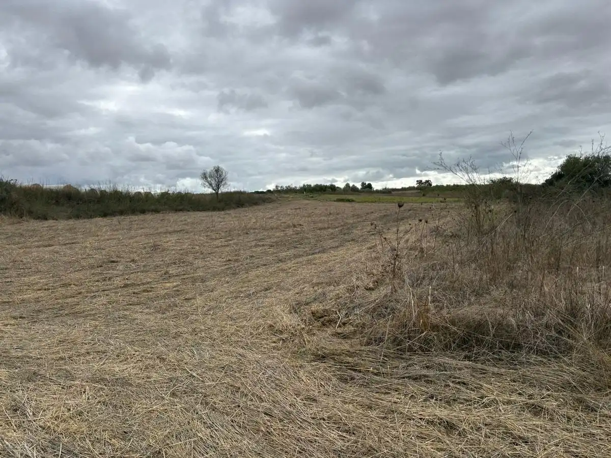 Terreny rústic en venda a Bollullos Par del Condado, imagen 4