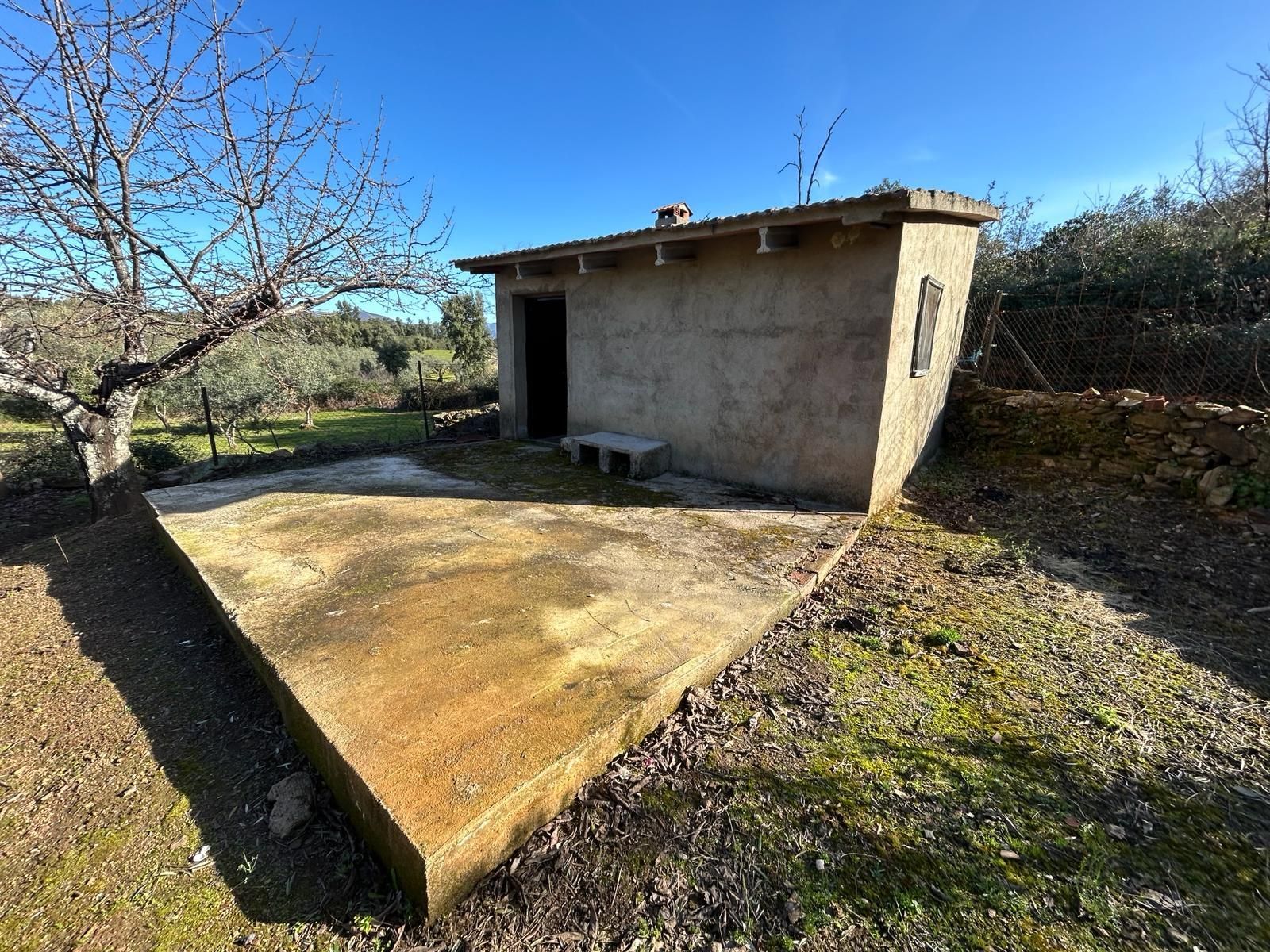 Land for sale in Perales del Puerto