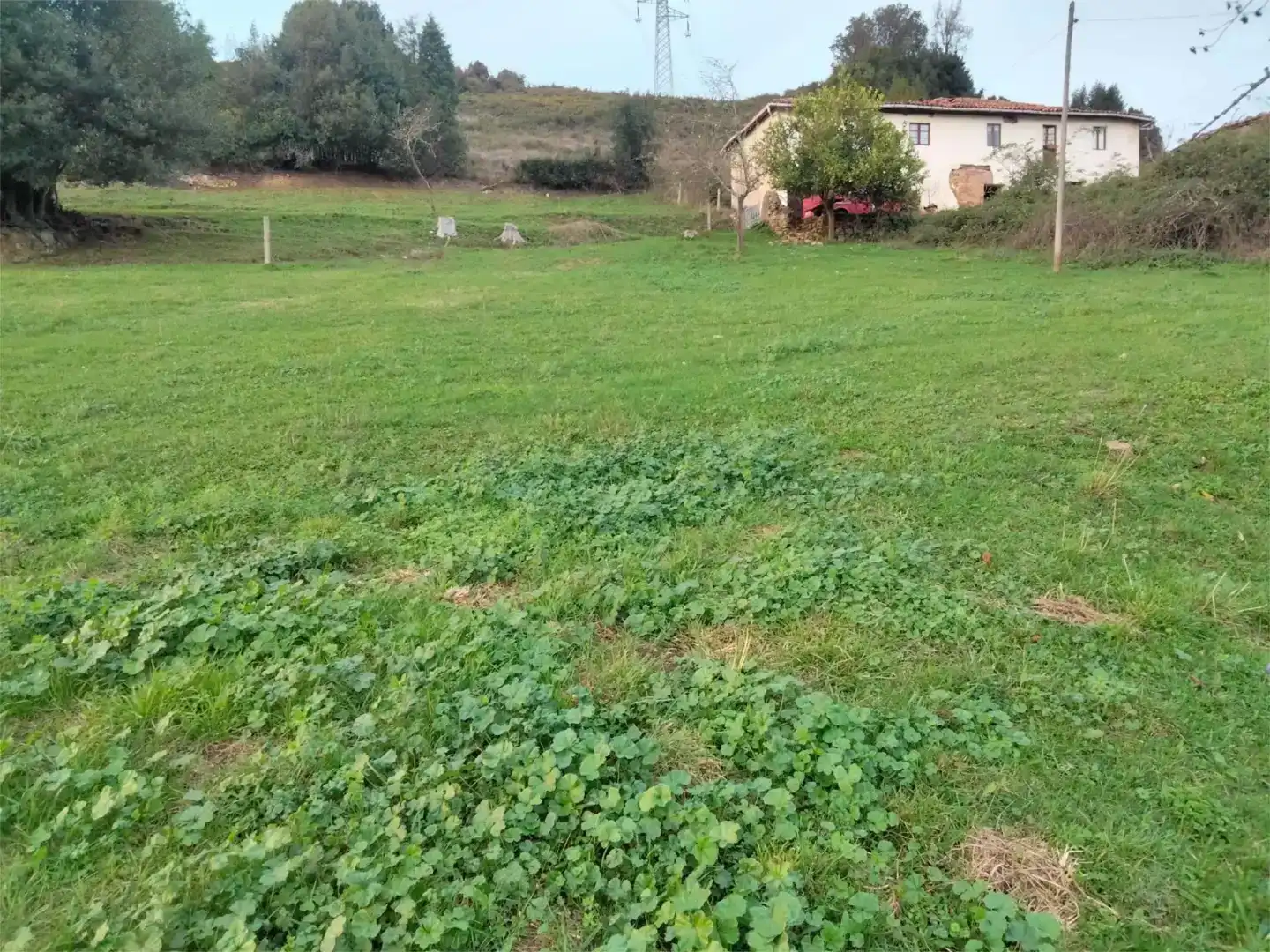 Casa o chalet en venta en Llanera