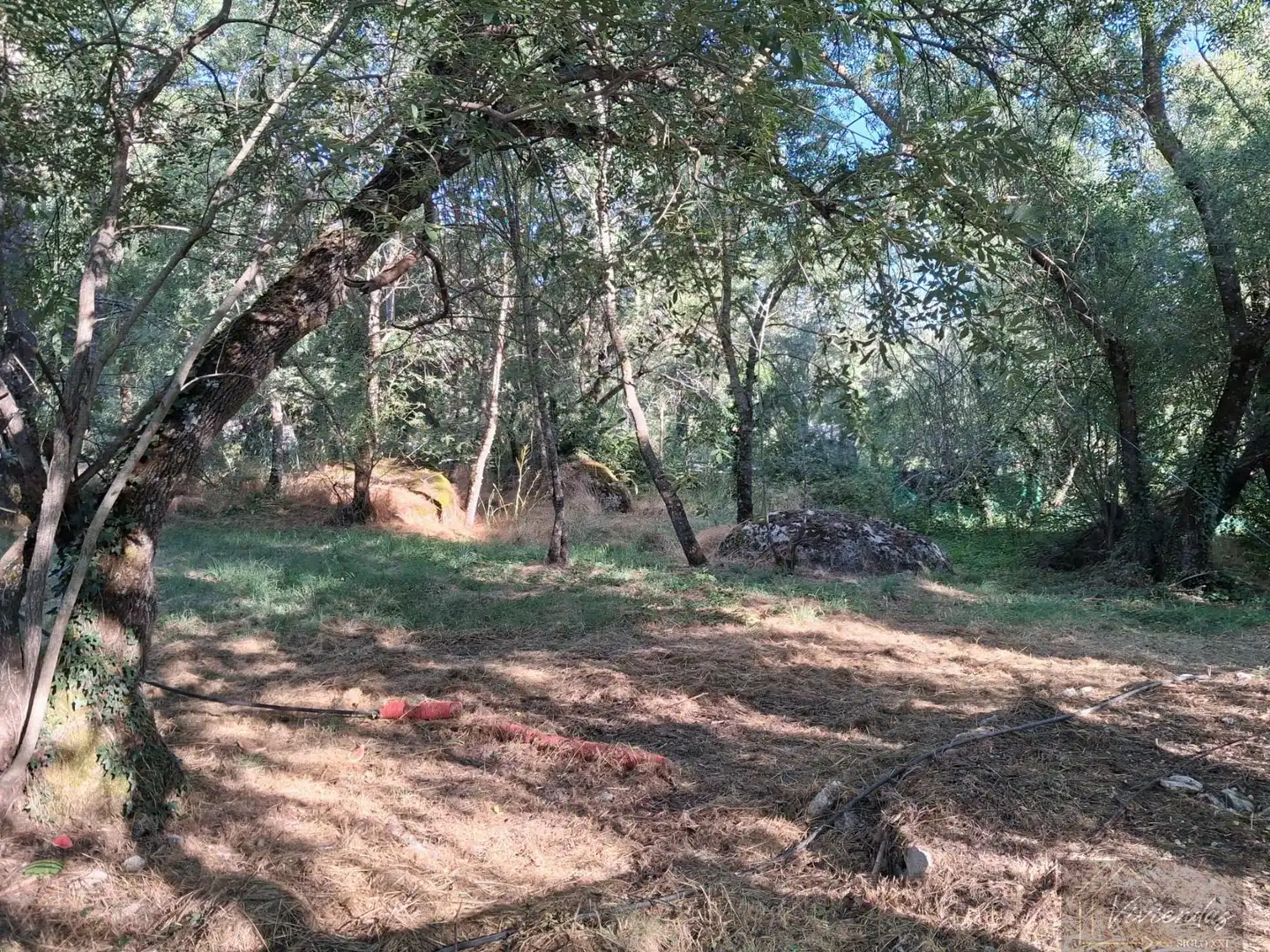 Finca rústica en venta en Bustarviejo