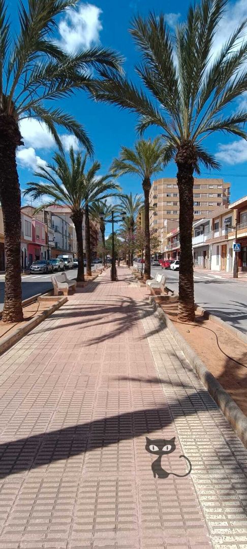 Exterior view of Flat for sale in Alginet  with Air Conditioner, Parquet flooring and Oven