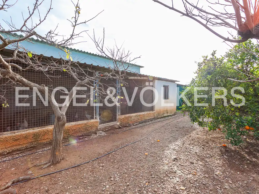 Terrain rustique à vendre à Santa Bárbara, imagen 18