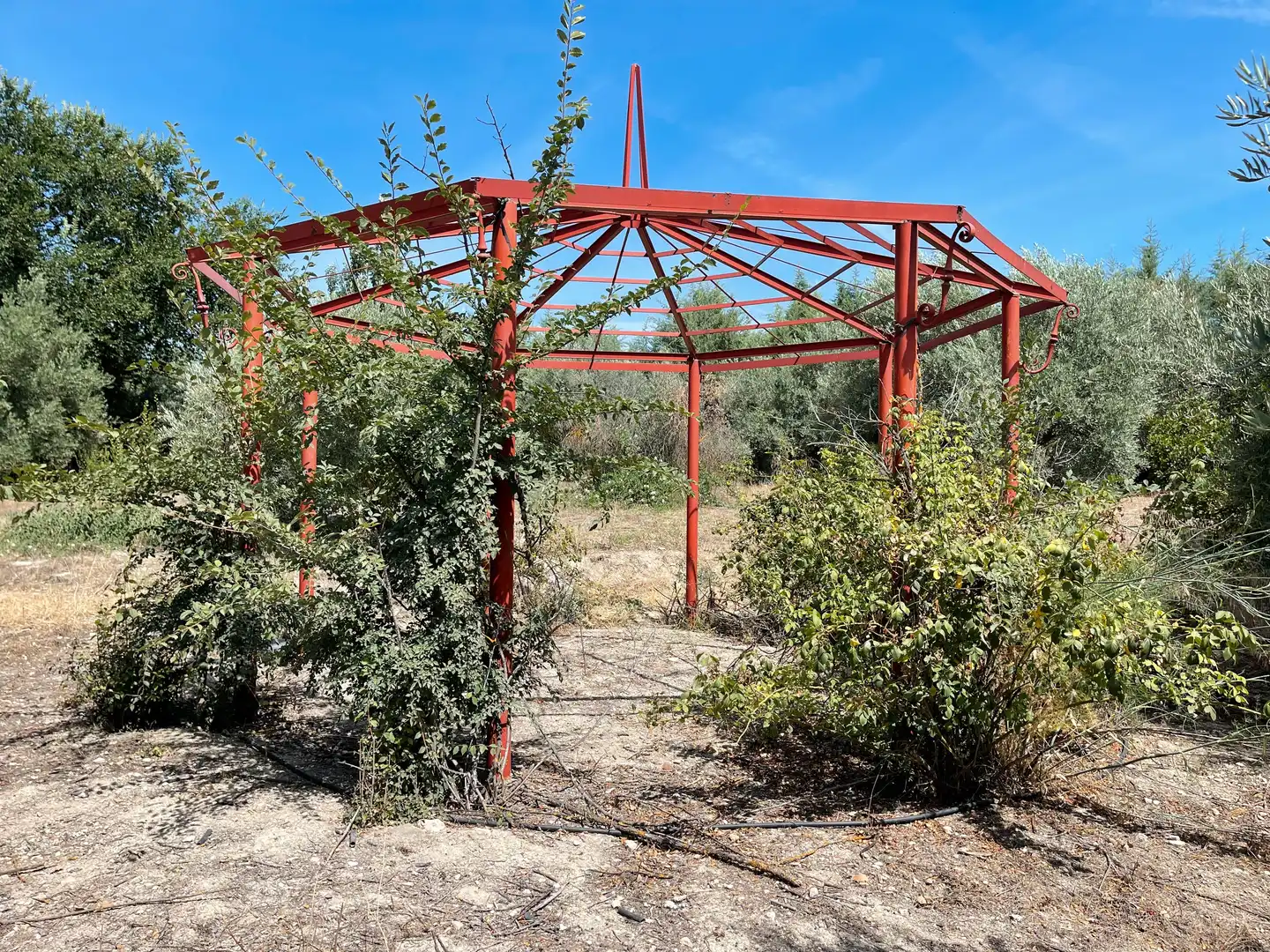 Terrenos y solares en venta en Úbeda, imagen 6