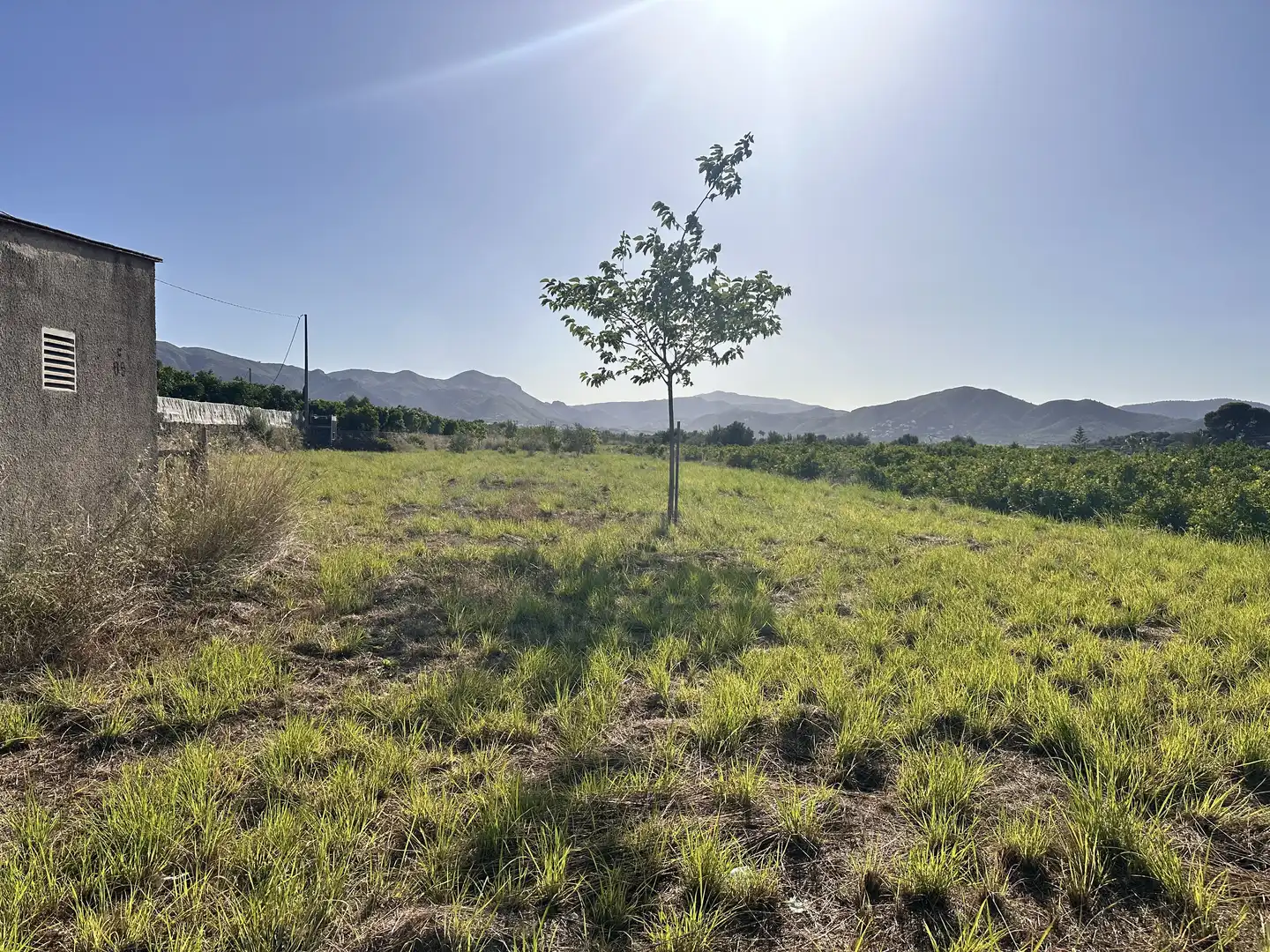 Terreno rustico in vendita a Pego, imagen 6
