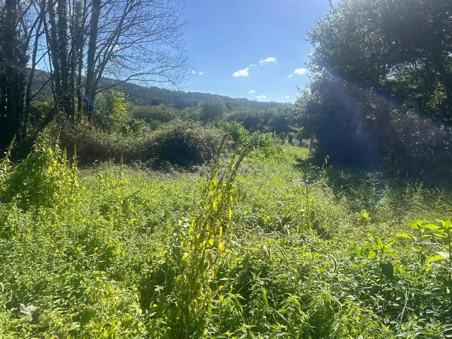Finca rústica en venda en Boiro, A Coruña