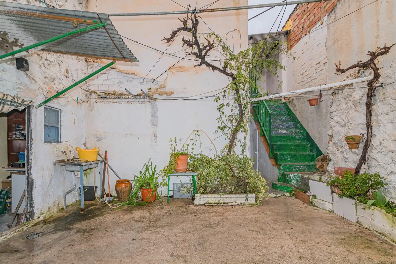 Garden of Country homes for sale in Campillo de Arenas