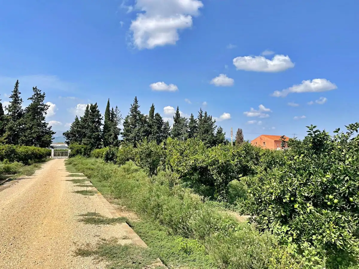 Villa à vendre à Jesús - Els Reguers, imagen 119