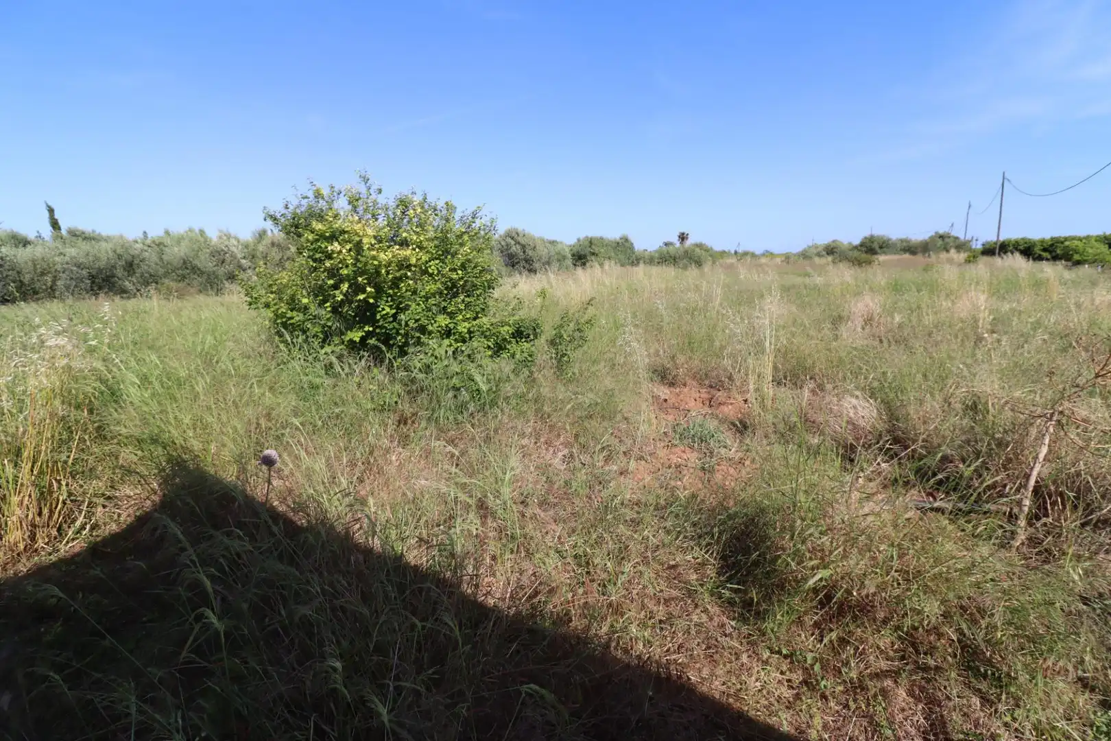 Terreno rústico en venta en Alcanar, imagen 13