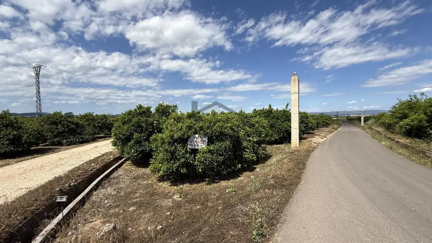 Terrain rustique à vendre à La Pobla Llarga