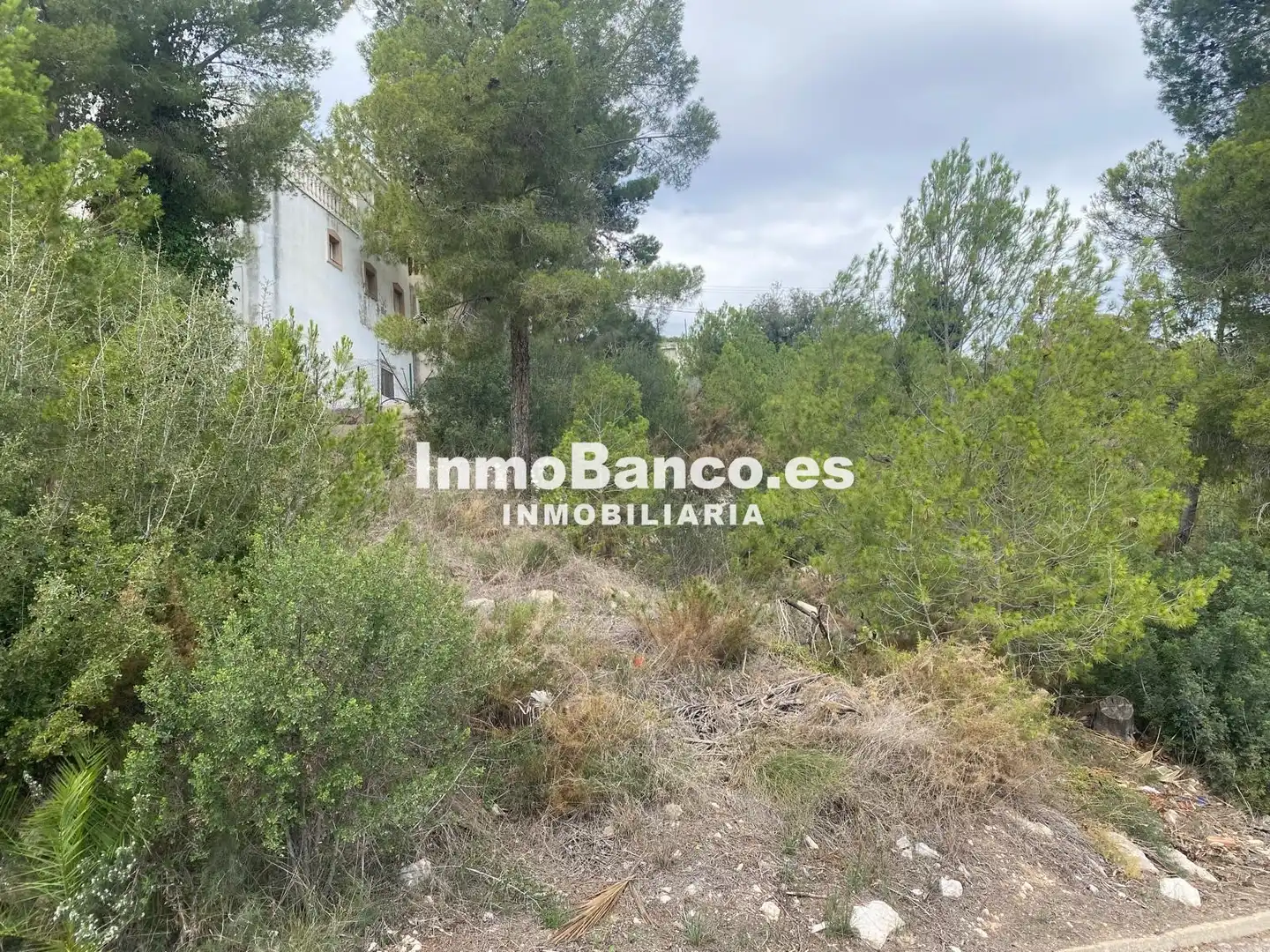 Terreny residencial en venda a Calle Pascual y Genís 869, imagen 12
