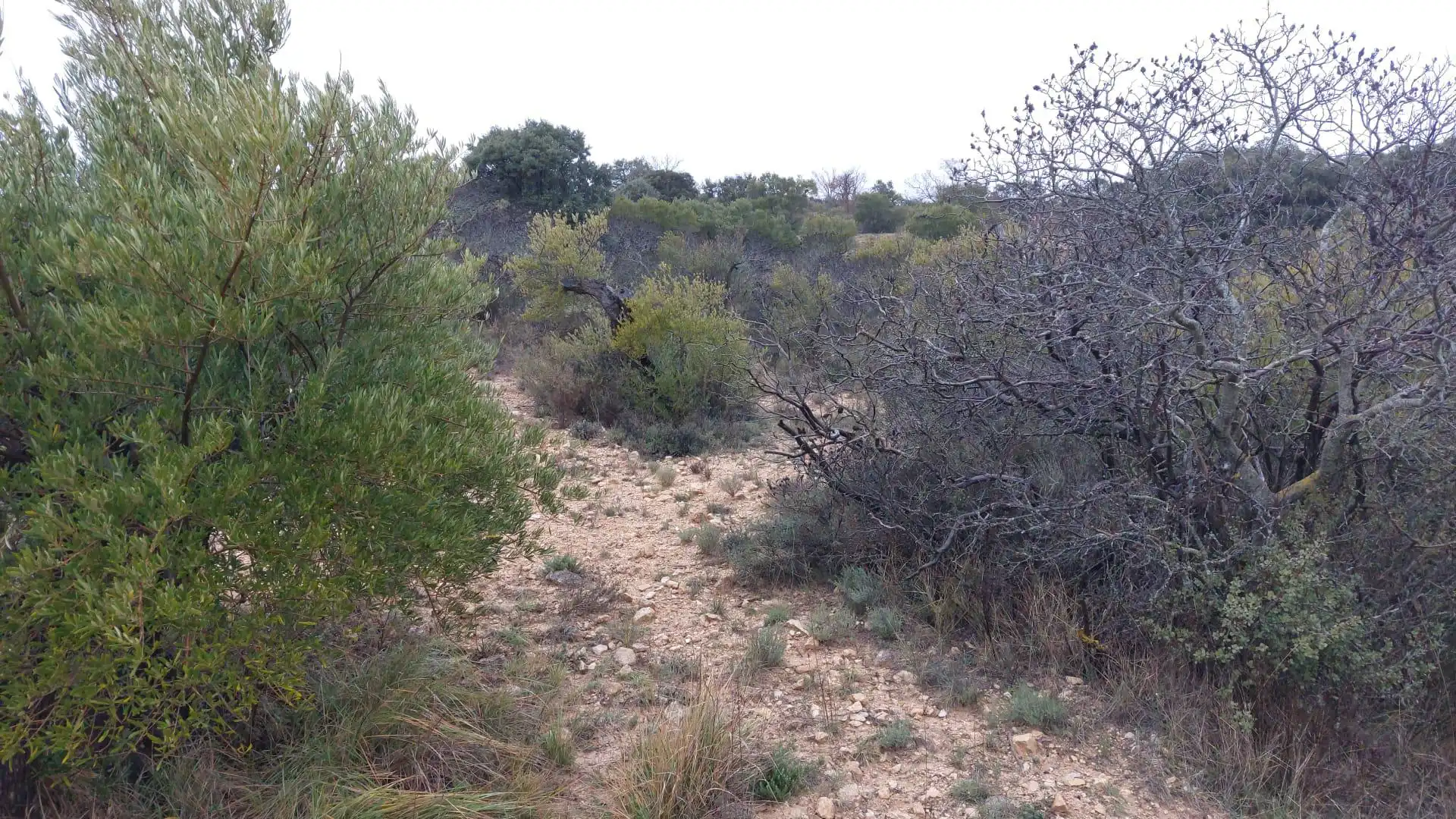 Grundstücke zur Miete in Loranca de Tajuña